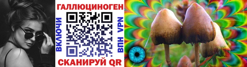 Псилоцибиновые грибы ЛСД  сколько стоит  Владимир 