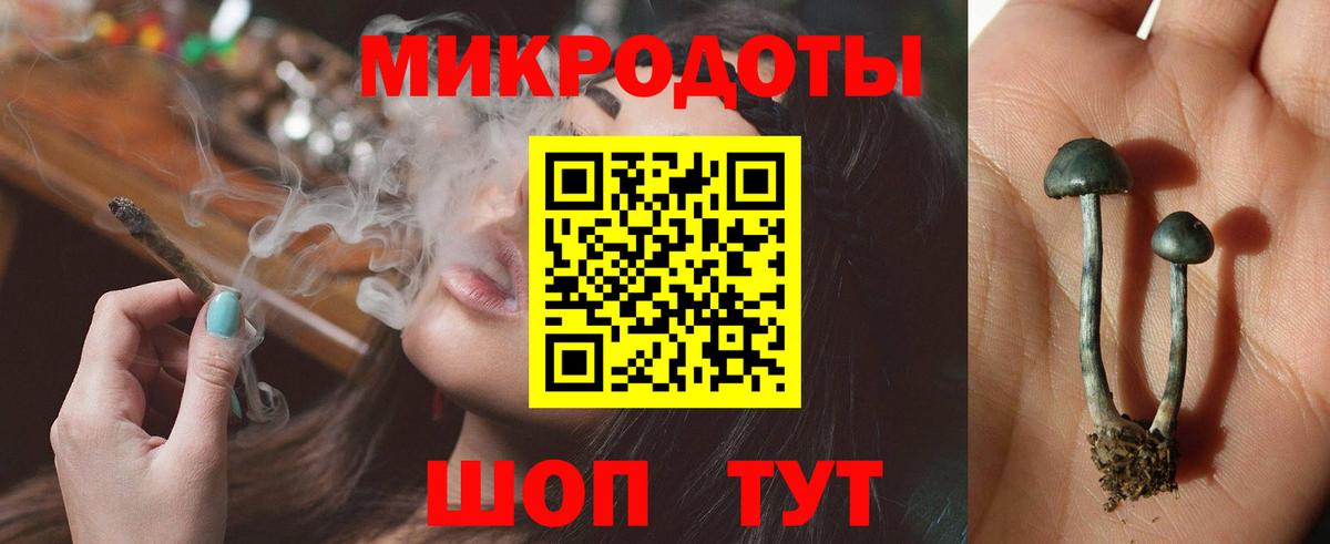 Галлюциногенные грибы Psilocybine cubensis  Вход с VPN  Галлюциногенные грибы Psilocybine cubensis  Владимир 